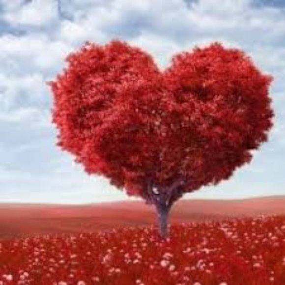 Welcome To Heart Boutique - Picture 7 of 8